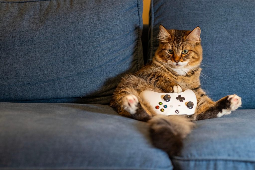 Iemand speelt een game op een tablet met een controller op de bank