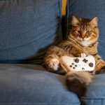 Iemand speelt een game op een tablet met een controller op de bank