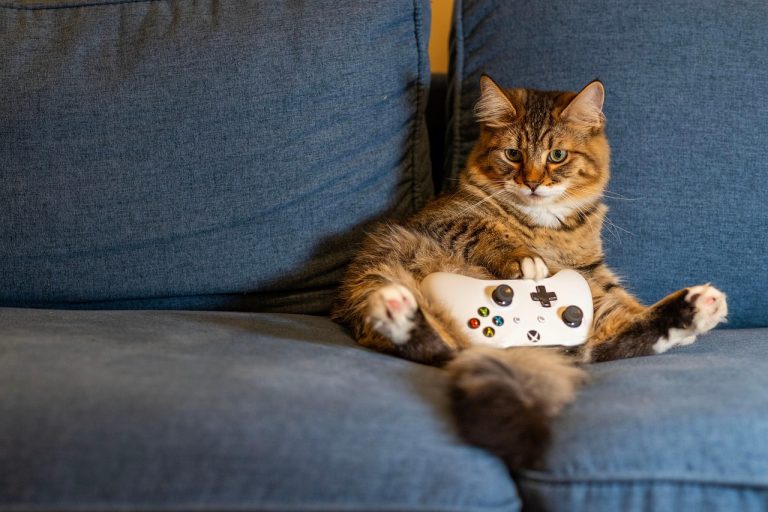 Iemand speelt een game op een tablet met een controller op de bank