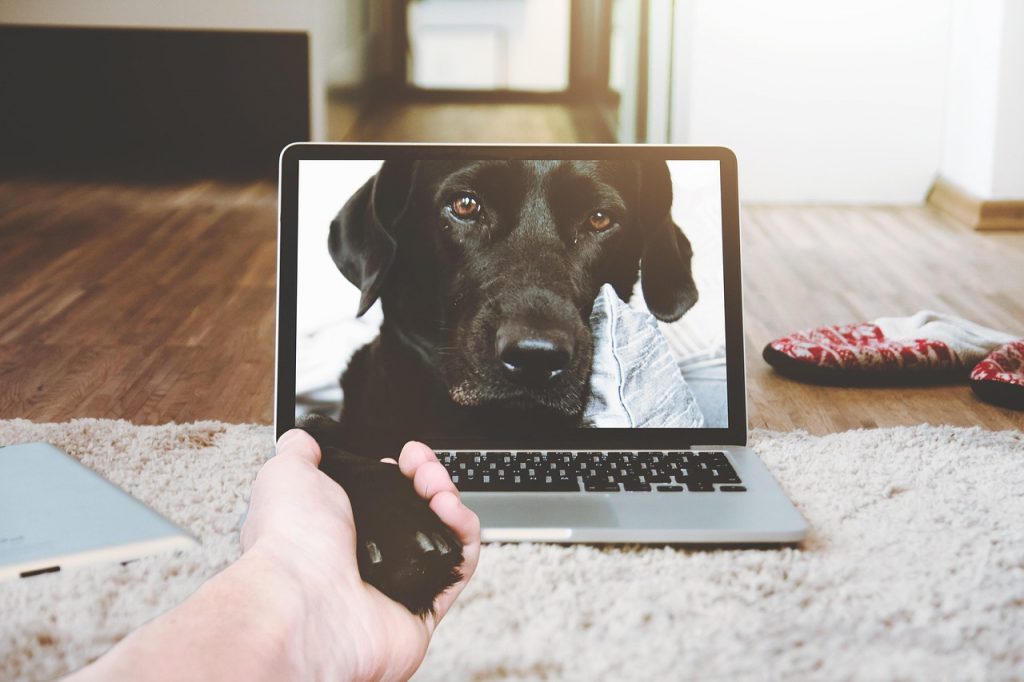 Persoon achter laptop in videogesprek thuis