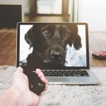 Persoon achter laptop in videogesprek thuis