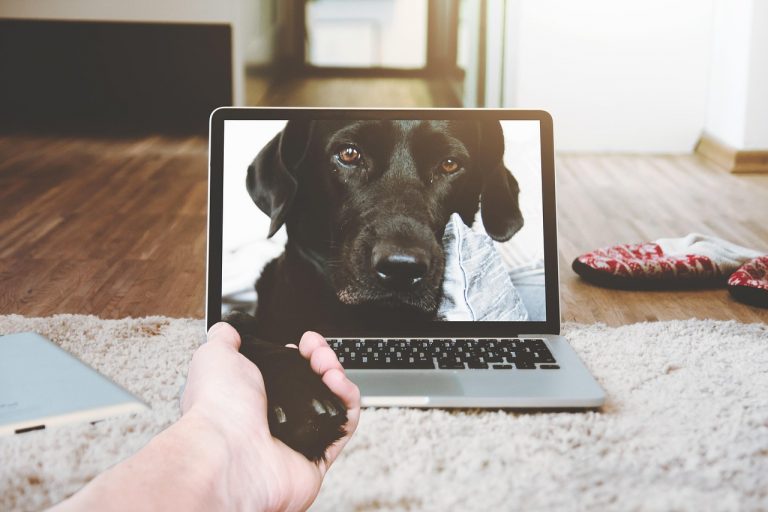 Persoon achter laptop in videogesprek thuis